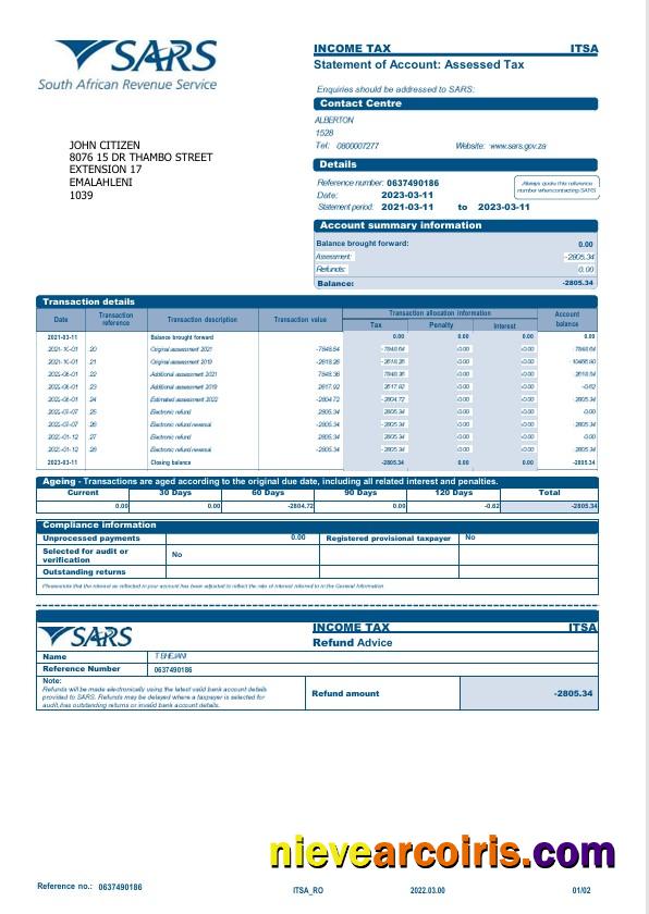 USA SARS bank statement Word and PDF, 2 pages